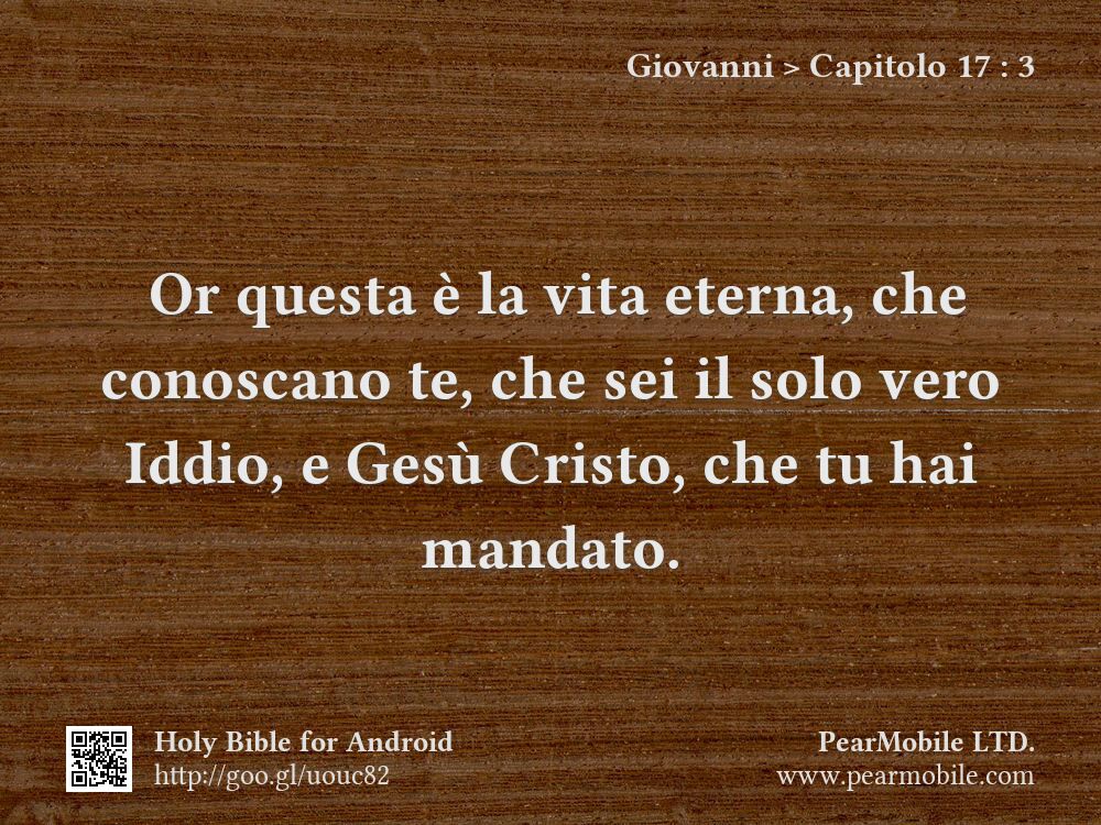 Giovanni, Capitolo 17:3
